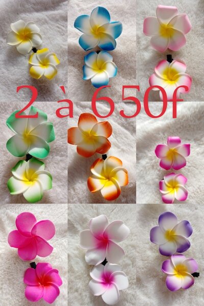 Fleurs en mousse colorées