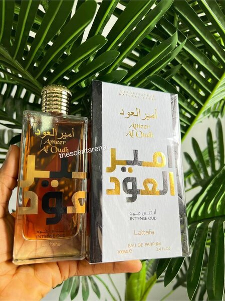Ameer Al oud