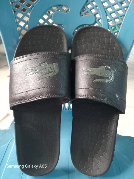 Lacoste