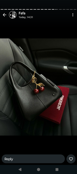 Ladies bag