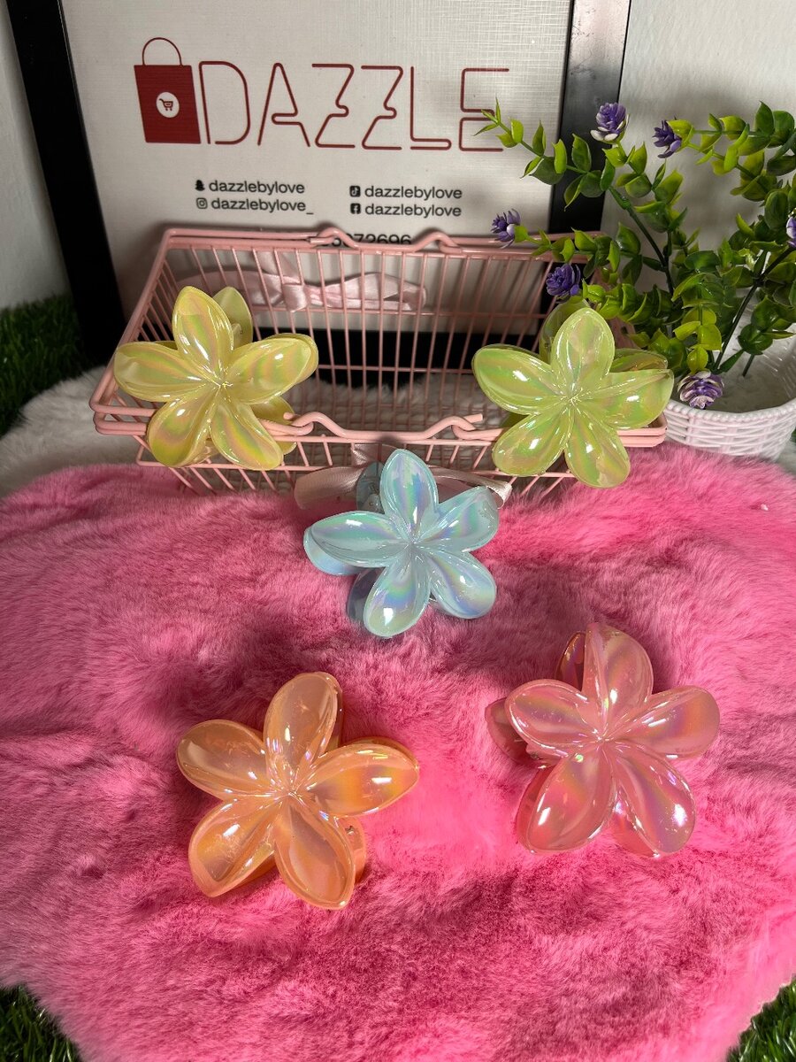 Hair clip