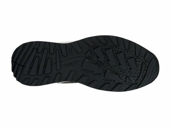 Basket GEOX