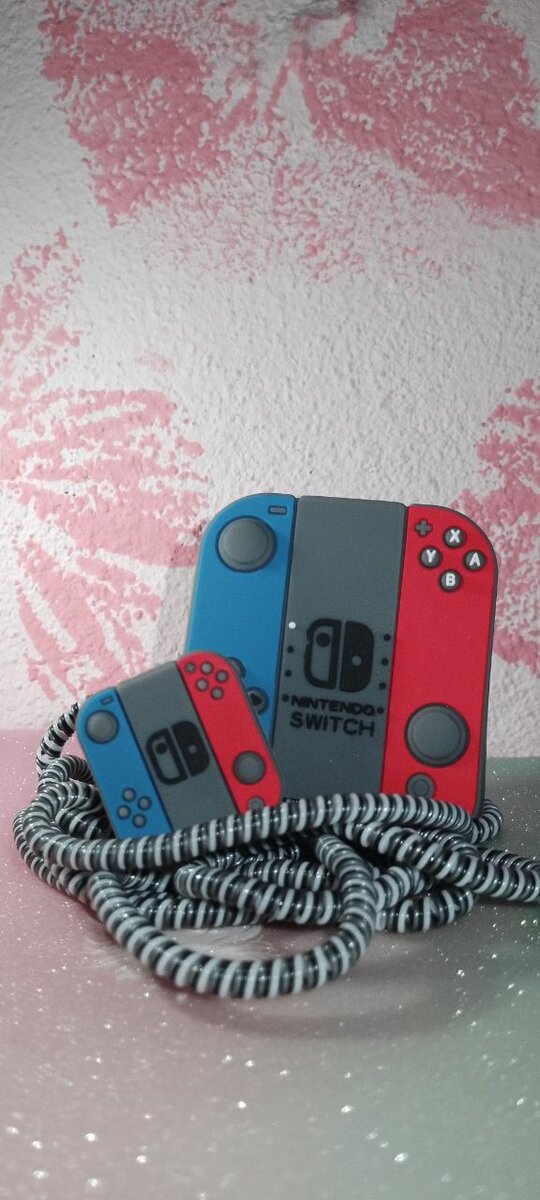 Protège Chargeur Nintendo
