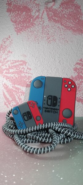 Protège Chargeur Nintendo