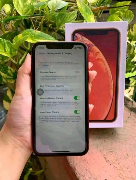 iPhone xr