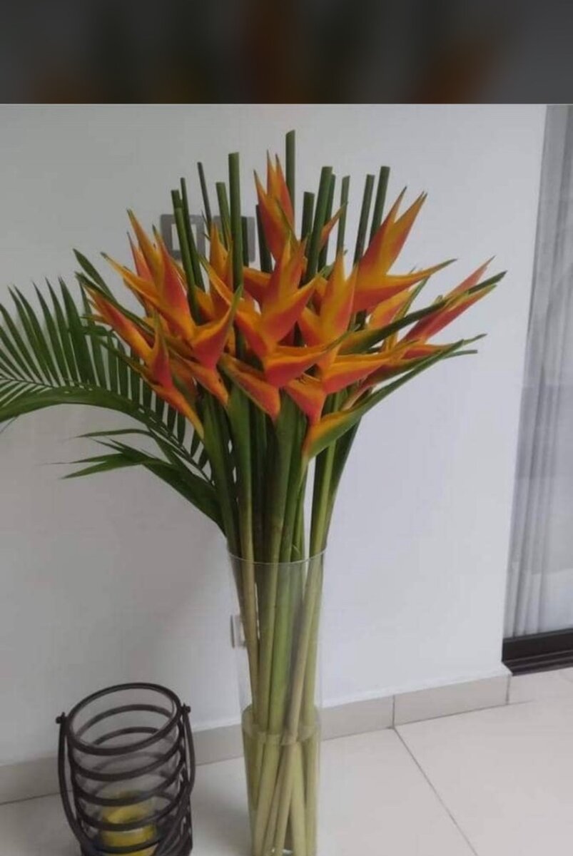 Fleurs