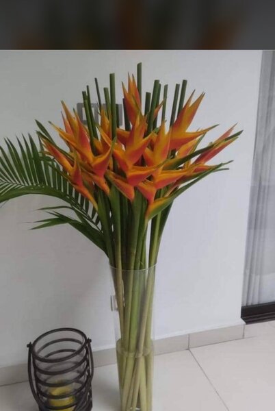 Fleurs