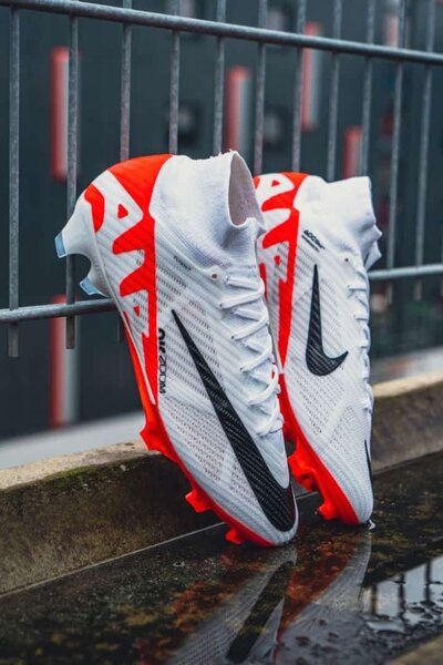 Paire de magre