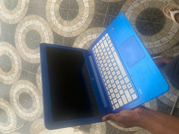 HP steam laptop
