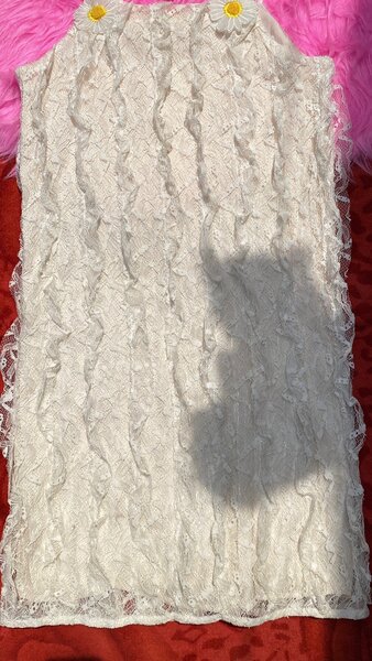 Ladies dress