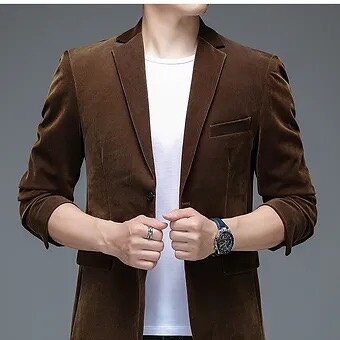 Blazer en Velours