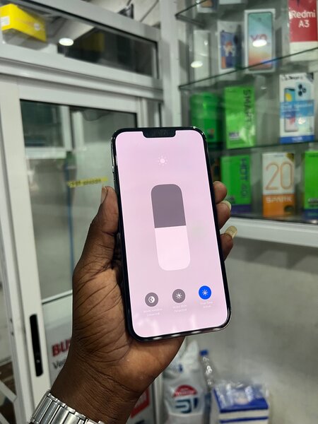 iPhone 13 Pro Max