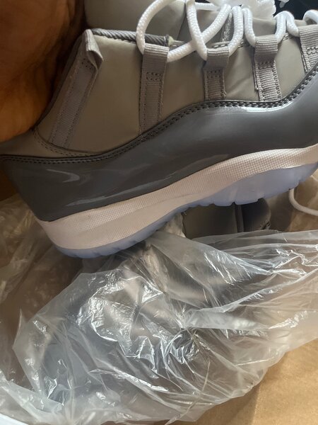 Jordan 11 low