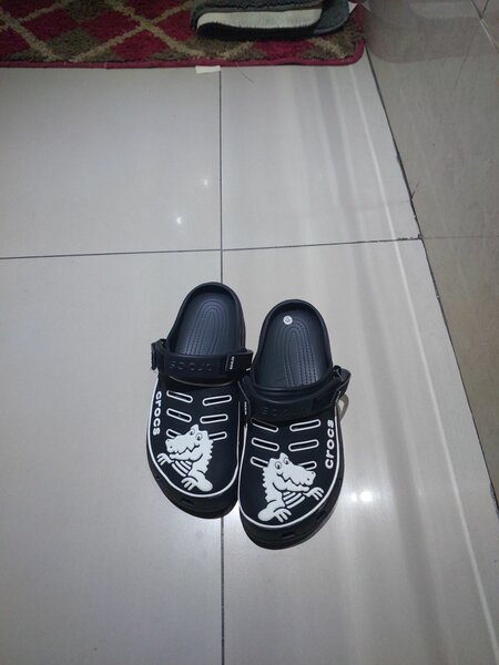 Crocodile crocs