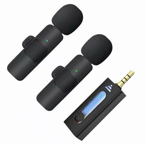 Microphones sans fil duo