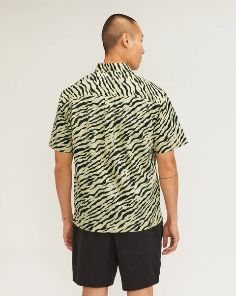 Everlane Shirt