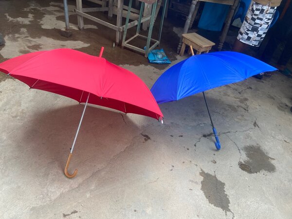 Umbrella