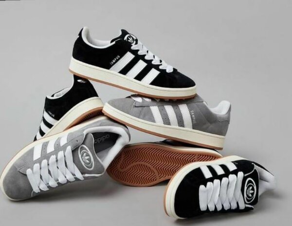 Adidas campus