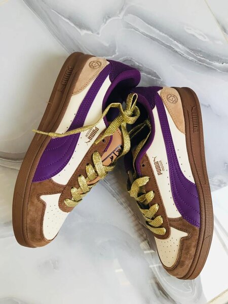 Puma indoor parlemo