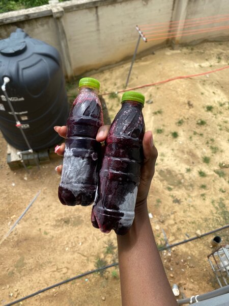 JUS DE BISSAP