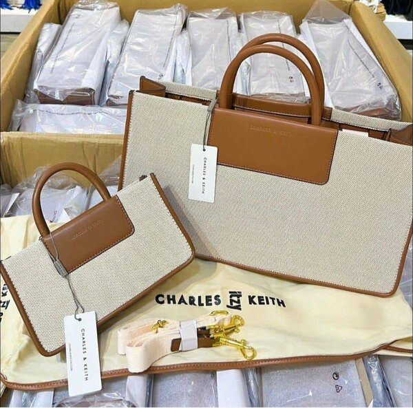 2 in 1 bag