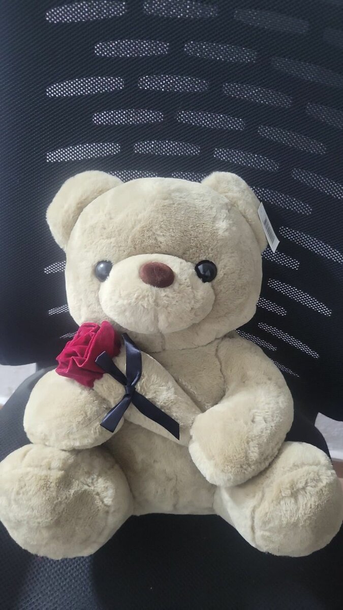 Peluche doudou