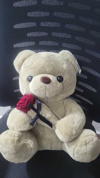 Peluche doudou