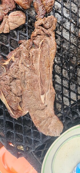 Roasted t bone