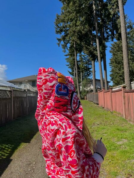 BAPE Pull-over