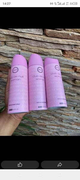 club de Nuit body