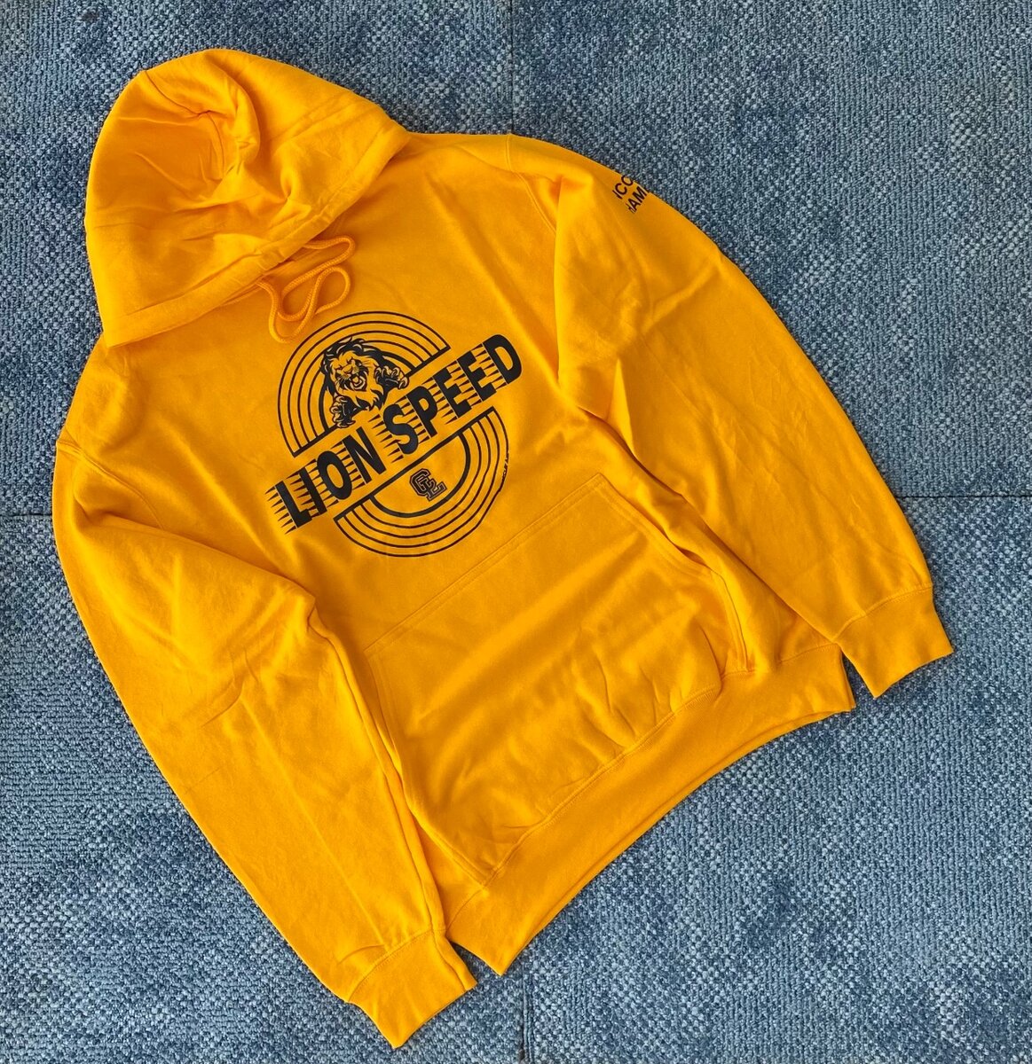 Thrift Hoodies
