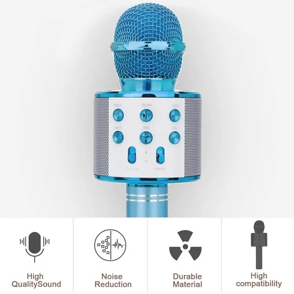 Microphone
