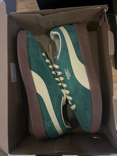 Puma