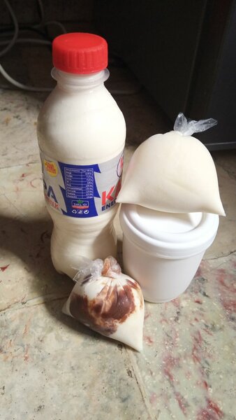 Lait caillé et deguê