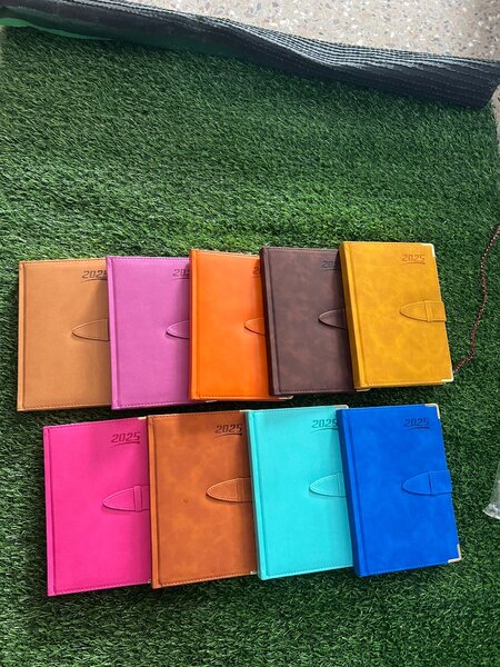 2025 Diaries