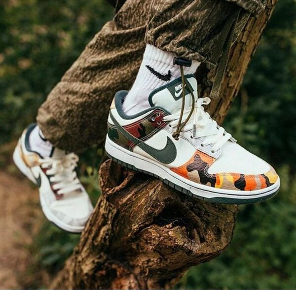 Nike sb chaussures