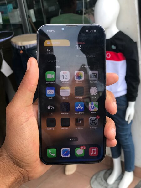 iPhone 13 pro max