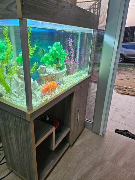 Aquarium