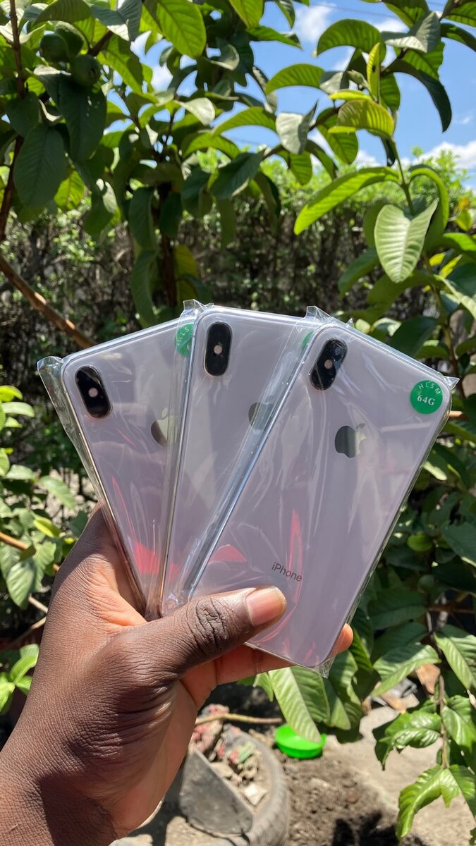 iPhone X