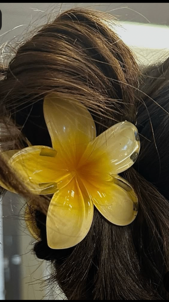 Griffe en fleurs