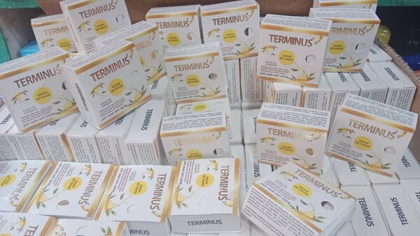 Terminus Face Soap