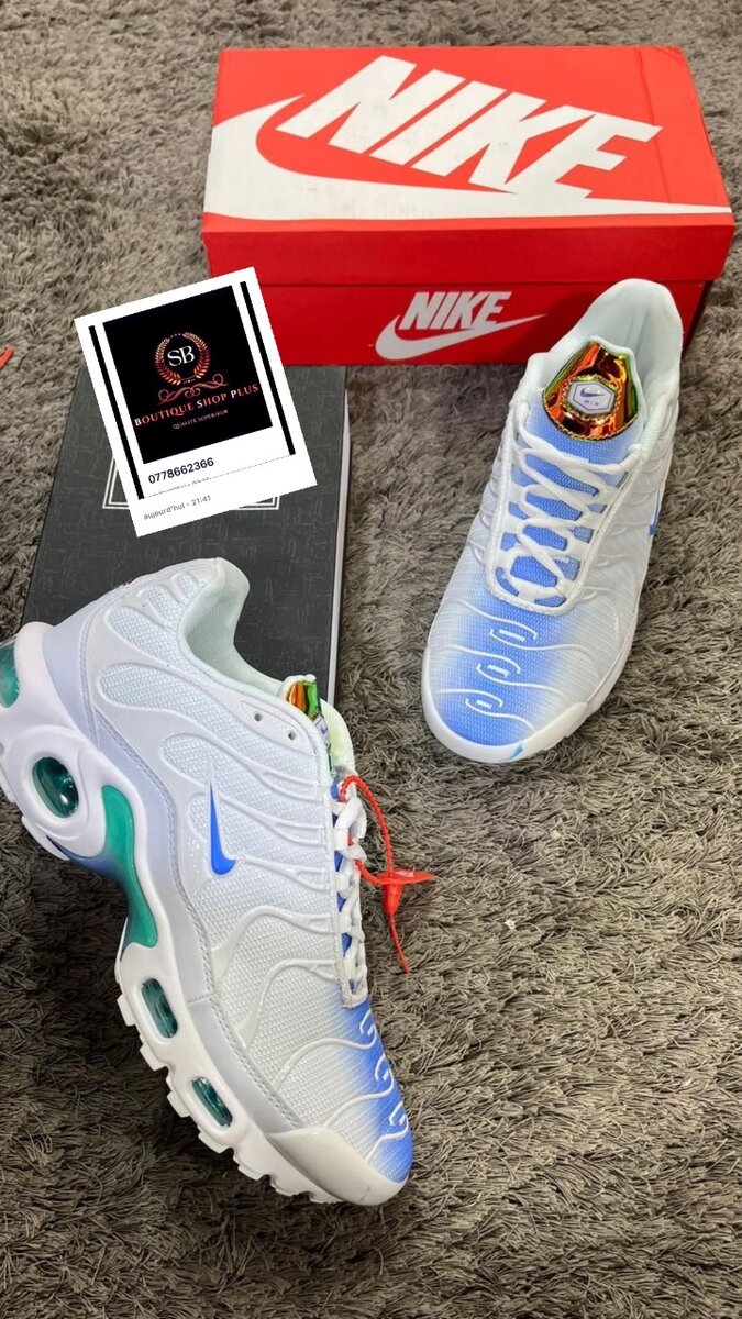 Basket nike tn authentique avec sa boîte