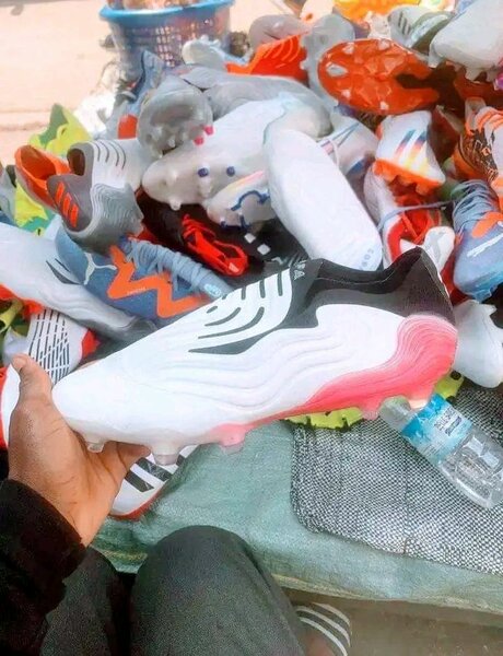 Paire de magret
