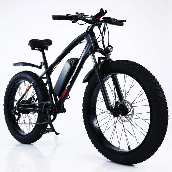 Vélo Électrique Tout-Terrain