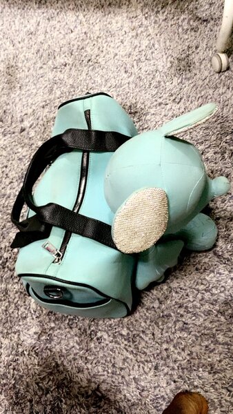 Traveling bag