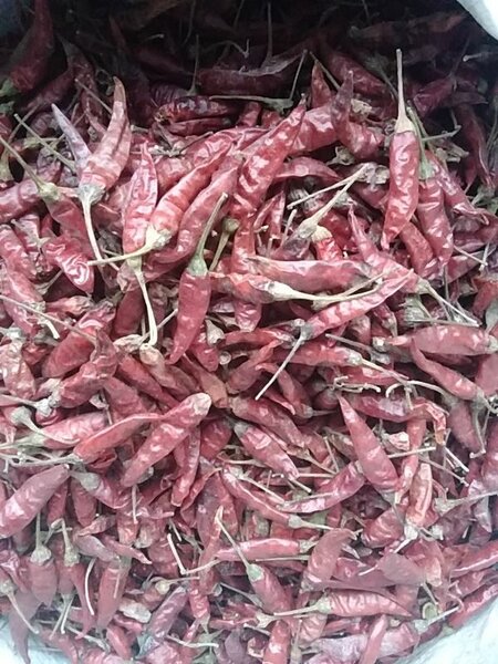 Chili