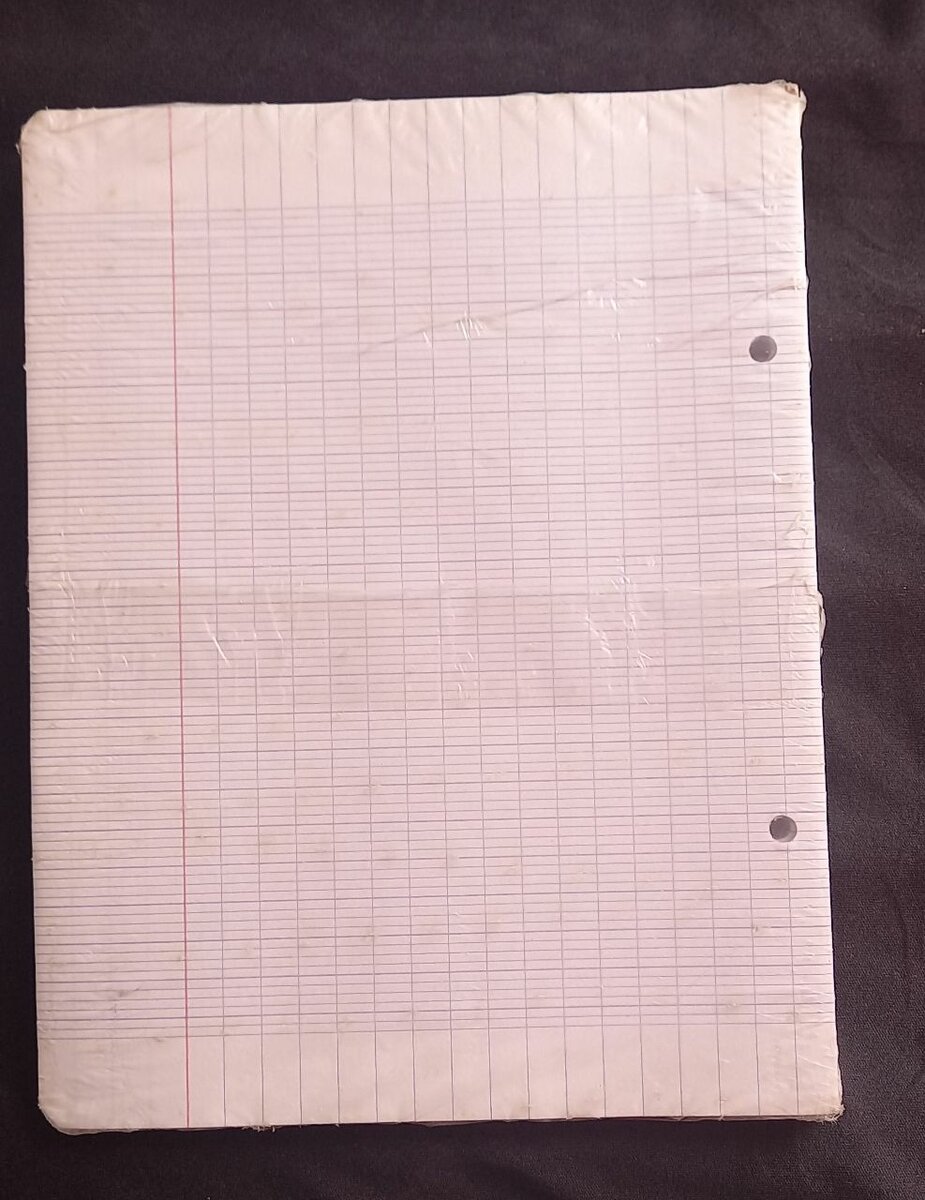 Feuilles Simples Perforées 200p