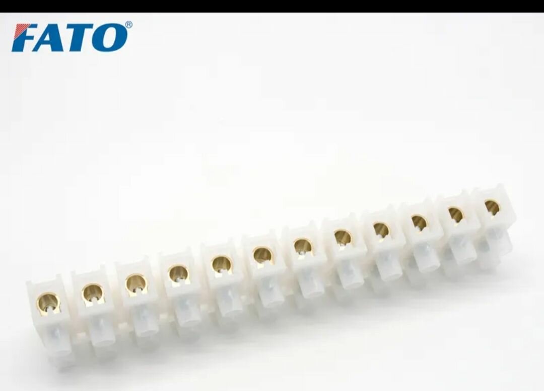 Domino