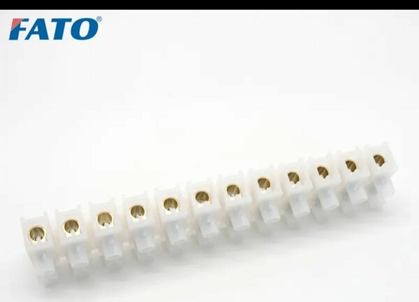 Domino