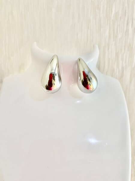 Fashion earrings
